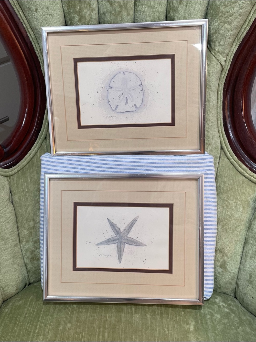 D Morgan Set of 2 Beach Art Summer Decor Starfish Sand Dollar Coastal Ocean